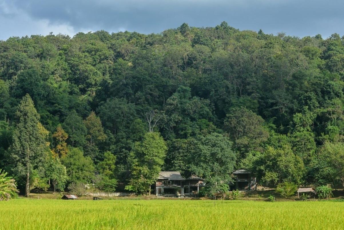 Ostello 467 Chiang Dao Esterno foto